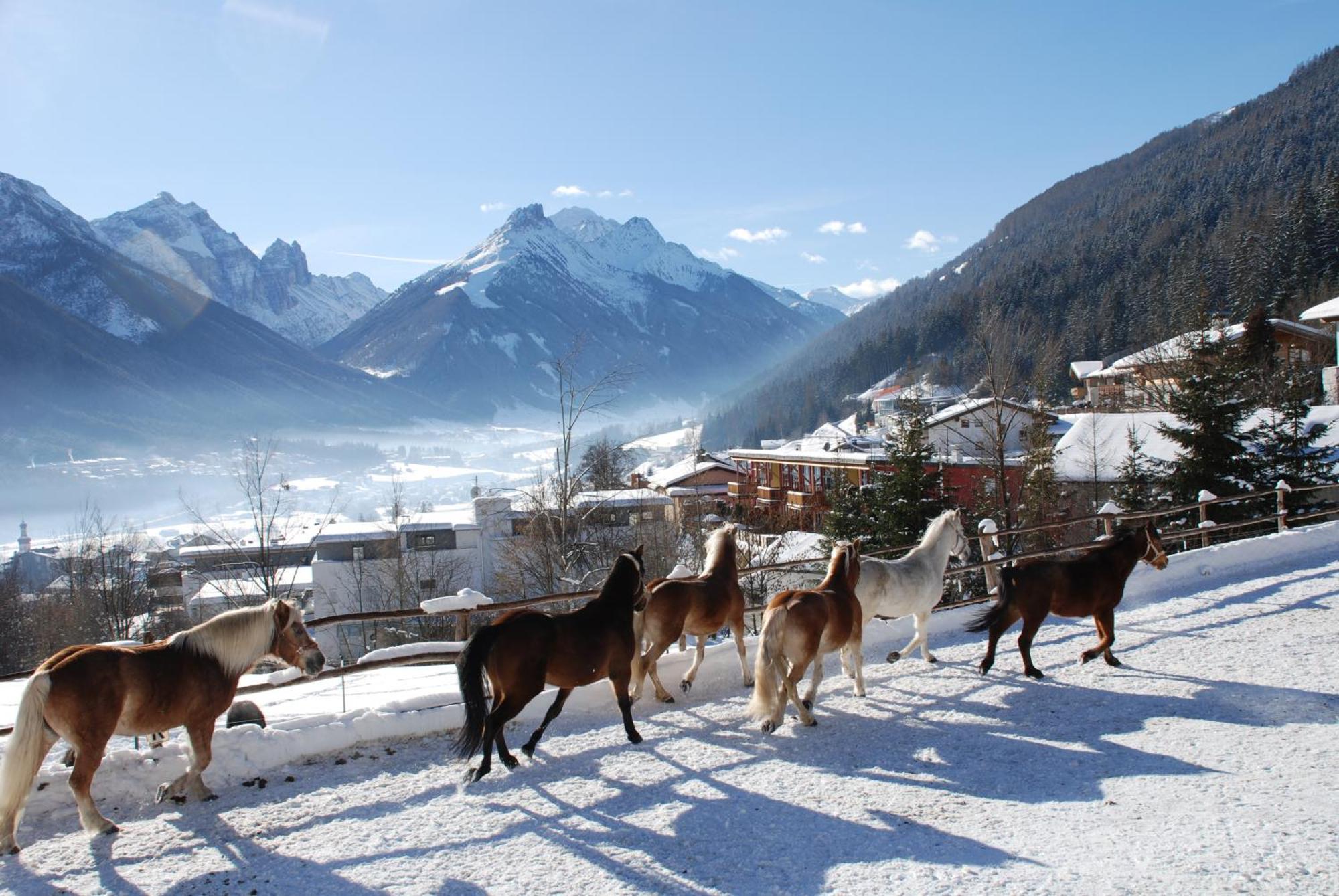 Apartmán Kassnhof - Urlaub In Den Bergen Telfes im Stubai Exteriér fotografie