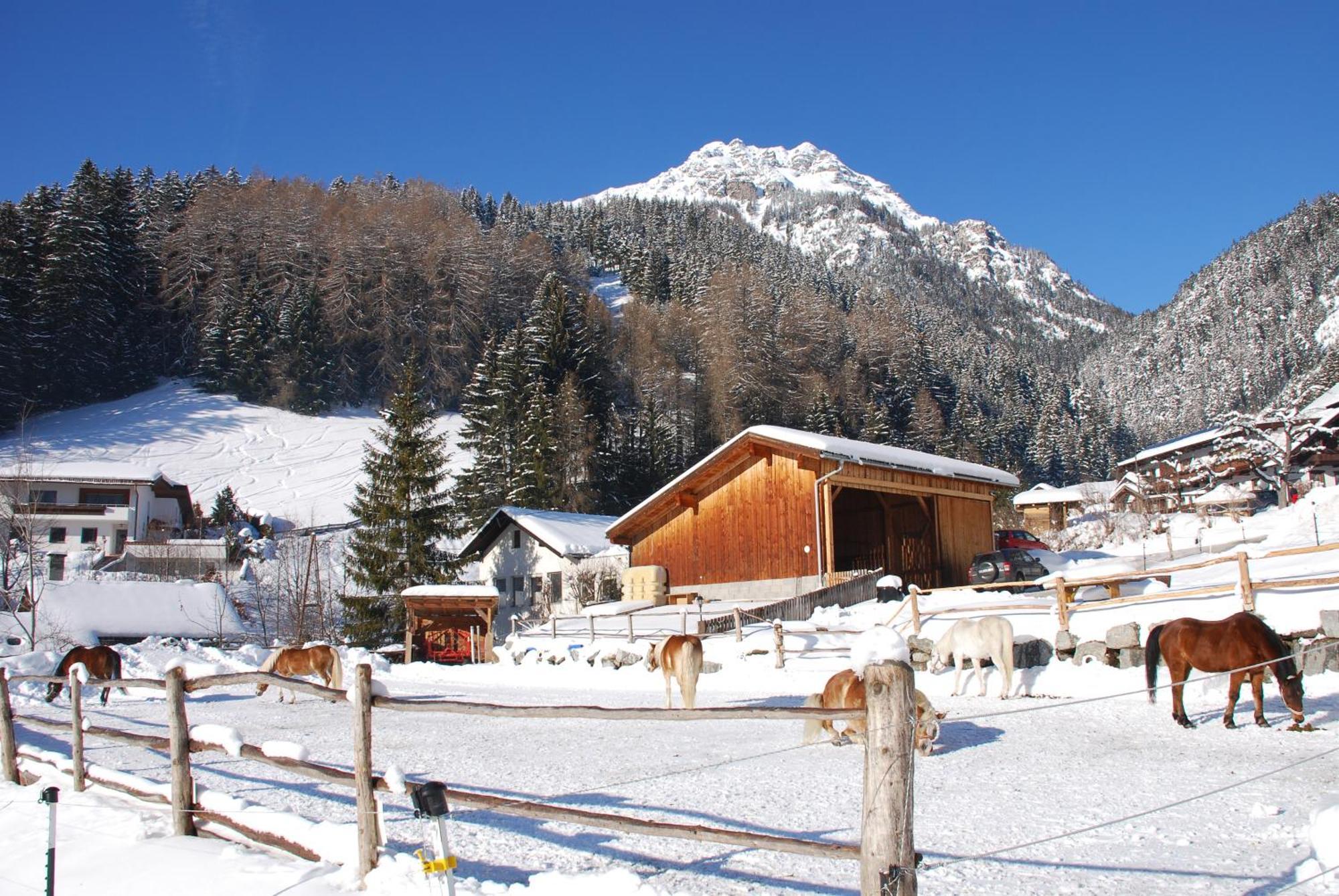 Apartmán Kassnhof - Urlaub In Den Bergen Telfes im Stubai Exteriér fotografie